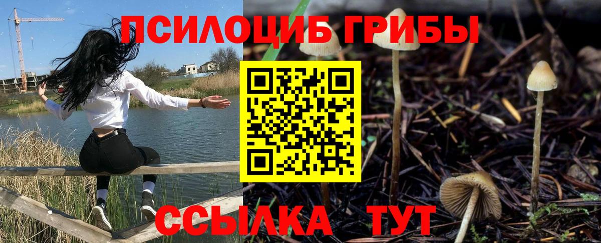 Псилоцибиновые грибы Cubensis  Вход с VPN  Сатка  Галлюциногенные грибы Magic Shrooms 